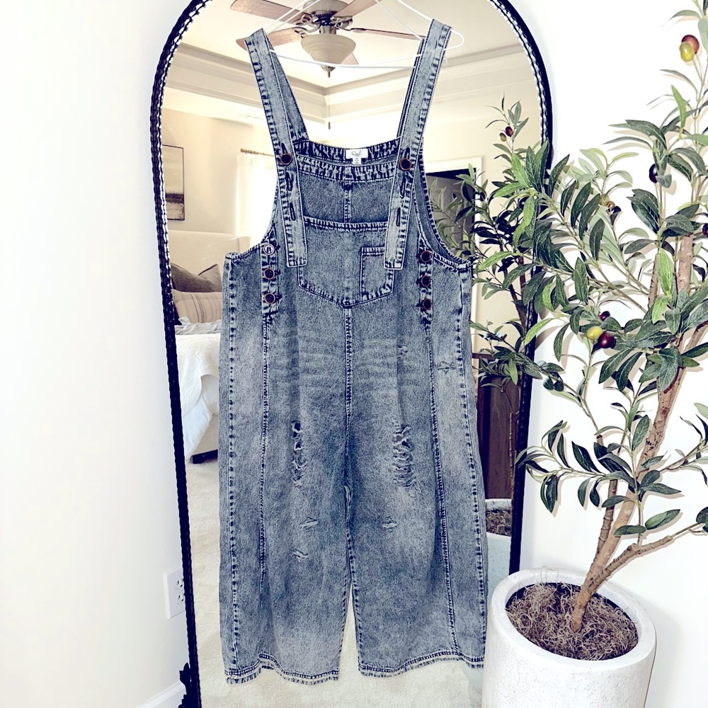Easel Oversized Overalls Size Medium Brand New with Tags